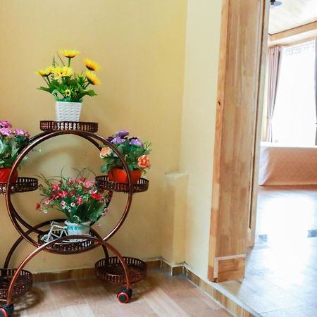 Cát Bà Vintage Homestay Cat Ba Island Ngoại thất bức ảnh