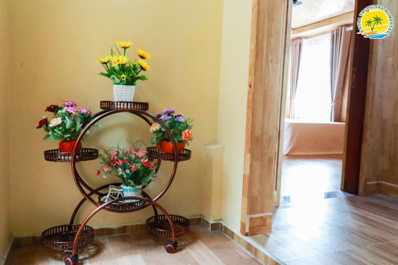 Cát Bà Vintage Homestay Cat Ba Island Ngoại thất bức ảnh
